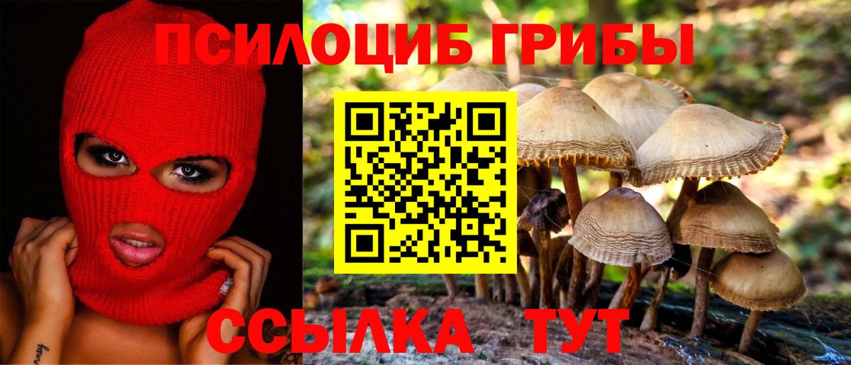 Галлюциногенные грибы прущие грибы  Галлюциногенные грибы ЛСД  Москва  Вход с VPN 